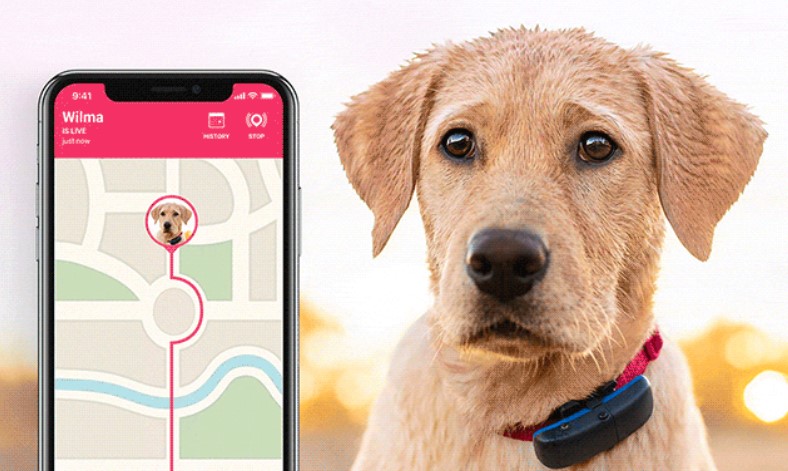 GPS ошейник для собак, ошейник с GPS для собак купить